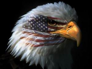 usaproud.jpg